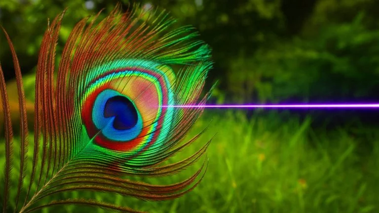 Illustration of a peacock feather emitting laser light.