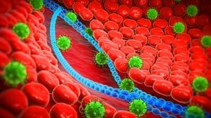 Illustration of a human papillomavirus.