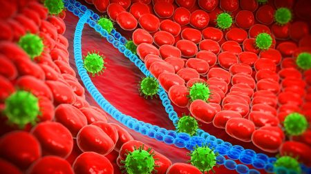 Illustration of a human papillomavirus.