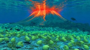 Illustration of an underwater volcano near Vancouver Island revealing giant Pacific white skate eggs.
