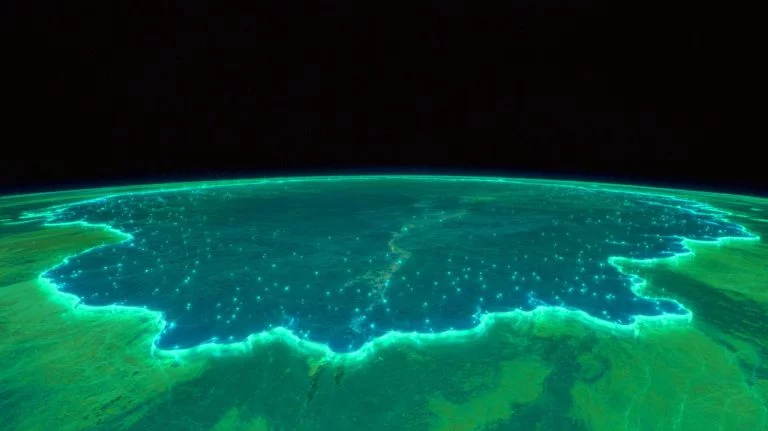 “We Can’t Believe Our Eyes”: NASA Scientists Shocked as Giant Ocean Creature Visible From Space Raises Alarming Threats From China Illustration of a bioluminescent phytoplankton bloom captured by NASA satellites off Australia's southern coast.