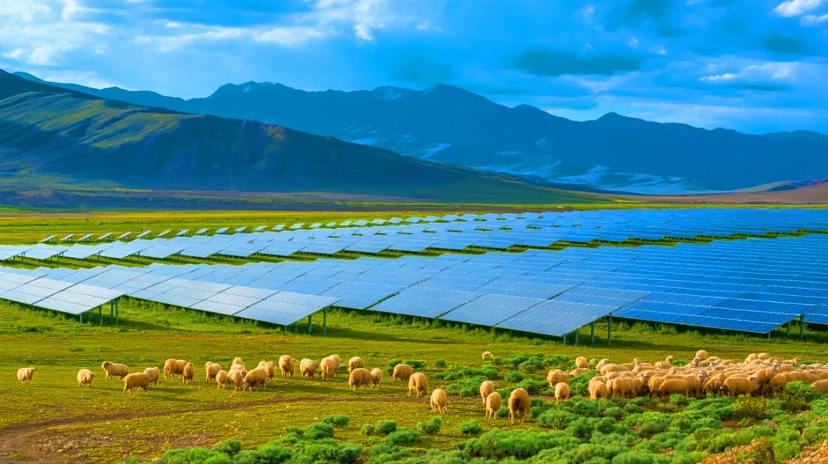 chinas-driest-region-transformed-7-million-solar-panels-make-it-green-but-at-what-environmental-cost-1200x673.jpg.webp