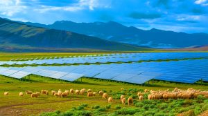 Illustration of a vast solar farm on the Tibetan Plateau transforming the arid landscape and promoting biodiversity.