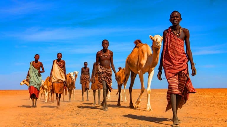 Illustration of the Turkana people in Northern Kenya adapting to harsh desert conditions through genetic evolution.