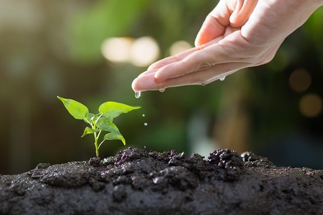 MFC Asset Management Steps Up Its ESG Agenda