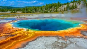 Illustration of a Unique Bacterium Found in Yellowstone's Hot Springs Capable of Breathing Both Oxygen and Sulfur.