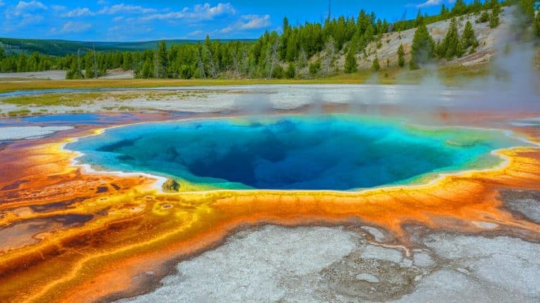Illustration of a Unique Bacterium Found in Yellowstone's Hot Springs Capable of Breathing Both Oxygen and Sulfur.