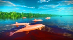 Illustration of a pink river dolphin in the Amazon region during extreme drought conditions.