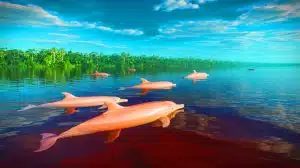 Illustration of a pink river dolphin in the Amazon region during extreme drought conditions.