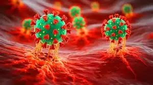 Illustration of bird flu viruses multiplying at fever-level temperatures.