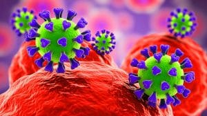 Scientists Capture Flu Viruses Entering Human Cells, Unveiling New Insights into Infection Pathways and Prevention Strategies Illustration of influenza viruses entering human cells using advanced microscopy techniques.