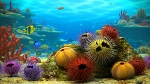 Illustration of sea urchins in a marine ecosystem affected by a pandemic.
