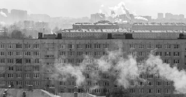 To combat air pollution, plant hedges air pollution city smog