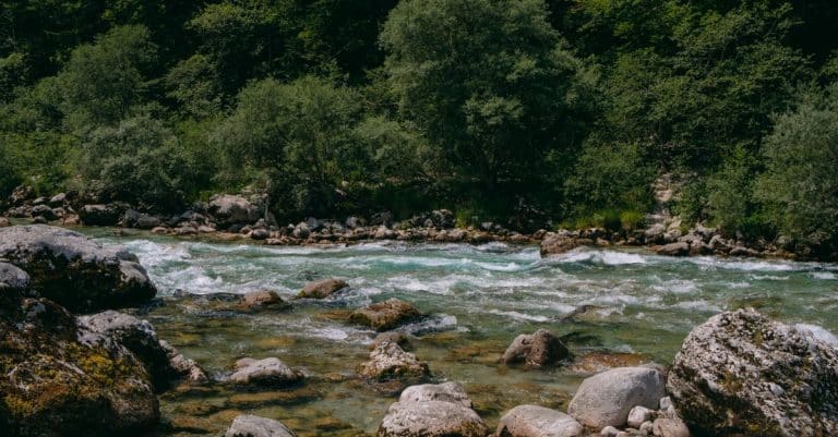 Here comes a sugar-based filter to purify polluted water clean water river environment