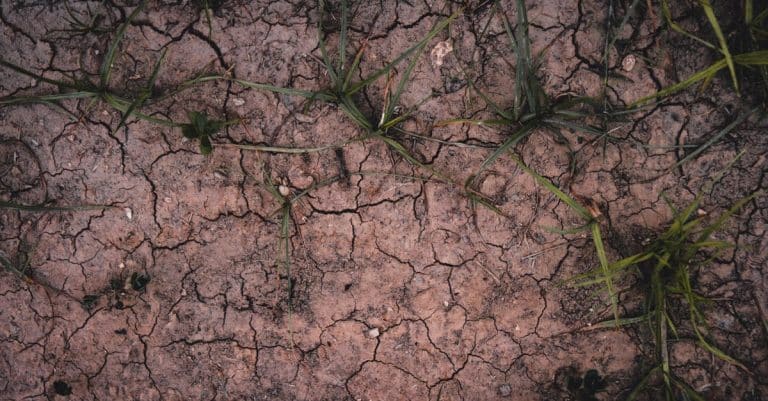 climate change environment