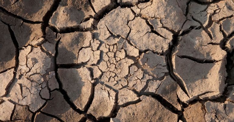 climate change environment