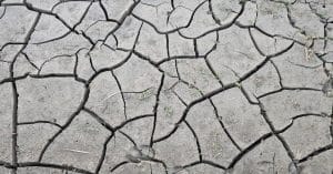 climate change environment