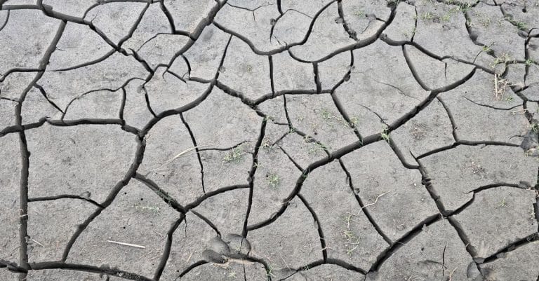 climate change environment