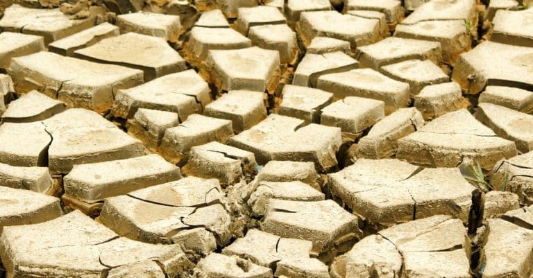 Sustainia reveals top climate solutions for 2019 climate change environment