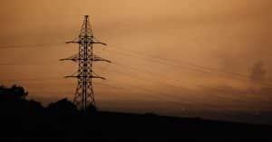 Trees could soon serve as ‘green’ electricity generators electricity grid power lines
