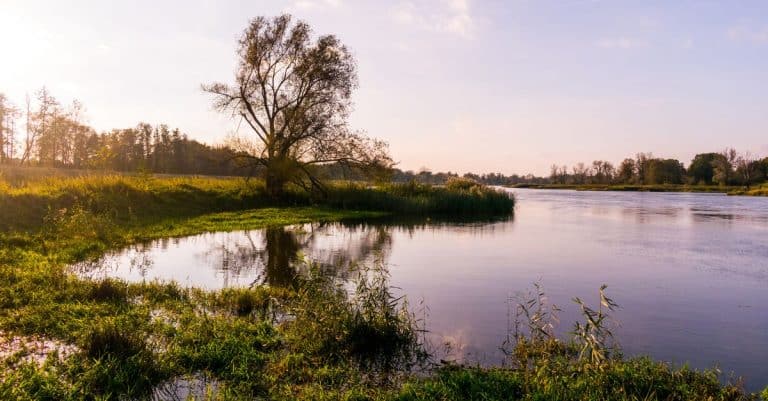Without tourism, Venice is in the clear environment nature landscape