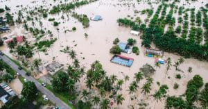 New Zealand’s biodiversity is on the verge of a ‘catastrophe’ extreme weather natural disaster