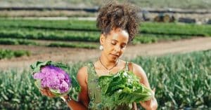 healthy sustainable food