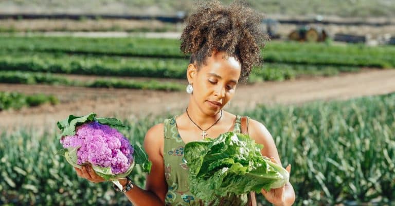 Environmental degradation ‘leads to gender-based exploitation’ healthy sustainable food