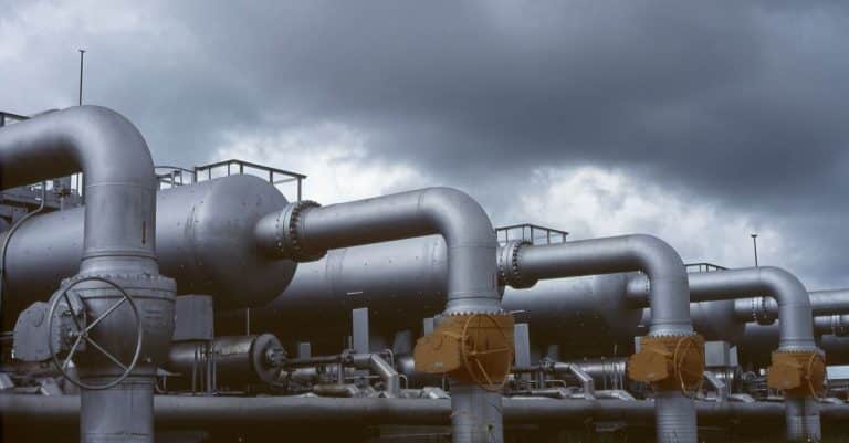 To stop cows producing methane, we can feed them seaweed natural gas energy industry
