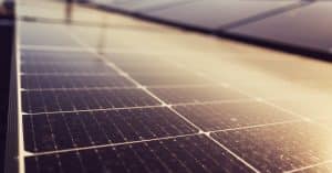 E. coli bacteria can help solar panels work on cloudy days solar panels renewable energy