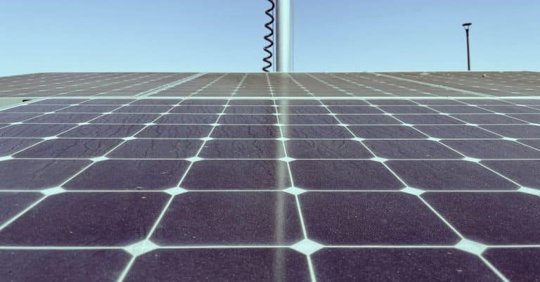 Scientists build solar panels that act like sunflowers solar panels renewable energy