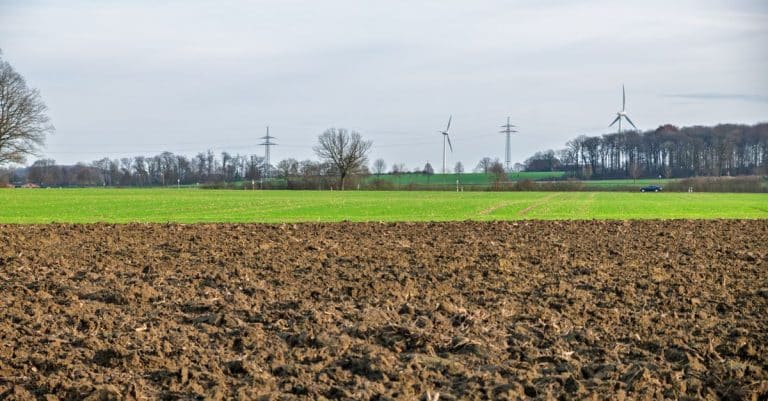 sustainable agriculture farm field