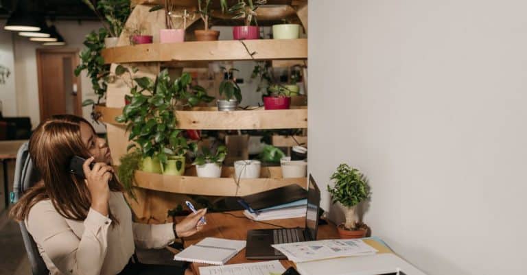 A ban on plastic bags in Australia yields dramatic results sustainable business office