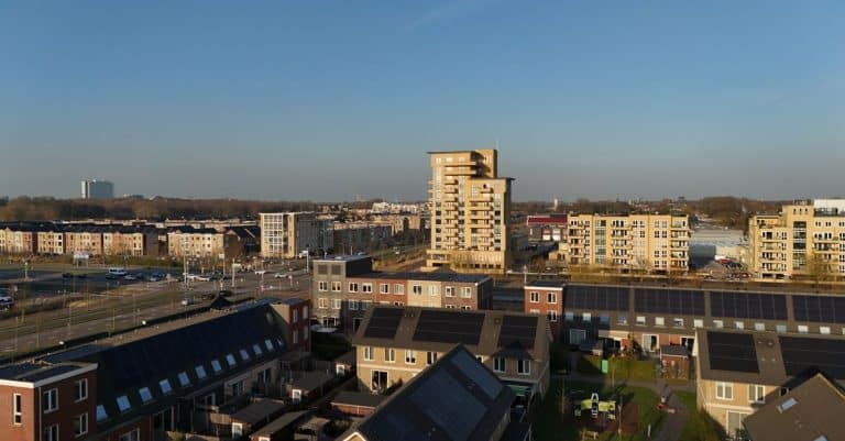 Windows from transparent wood could replace glass sustainable city urban planning