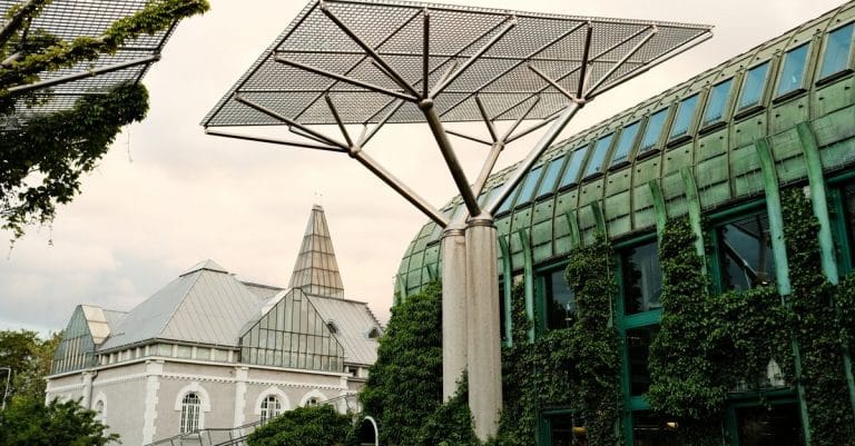 Lots of trees can help keep cities cooler in summer sustainable city urban planning