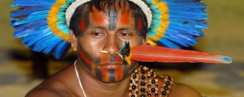 Indigenous people can lead the way in saving the Amazon’s rainforests