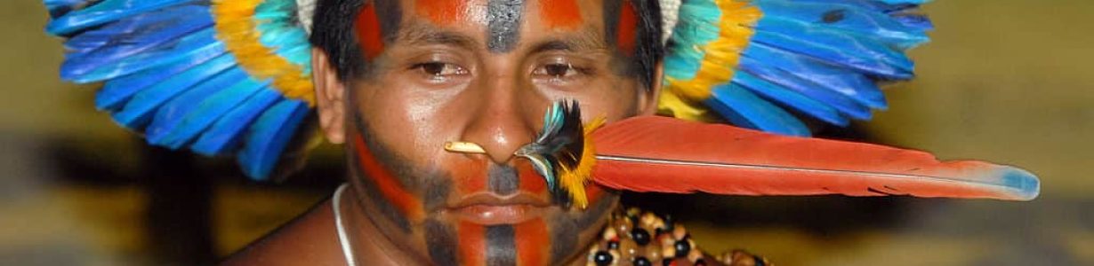 Indigenous people can lead the way in saving the Amazon’s rainforests