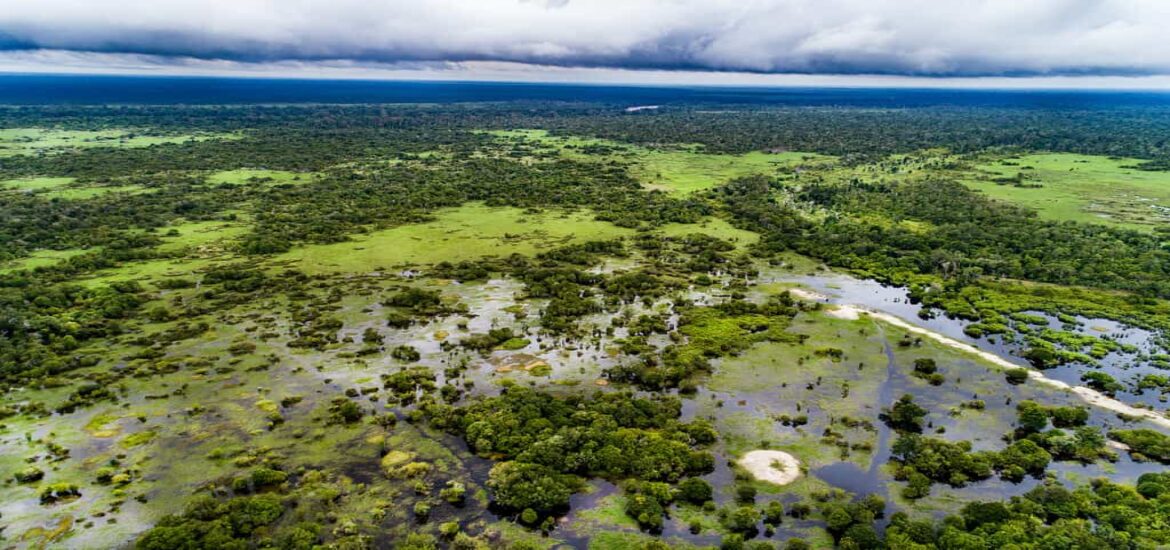 Peatlands worldwide are drying out, threatening to worsen climate change