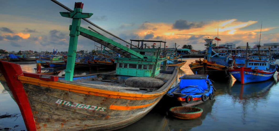 Vietnam needs to make its fishing practices more sustainable