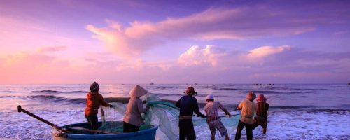 Seafood diets, nutrients threatened by rising global heat