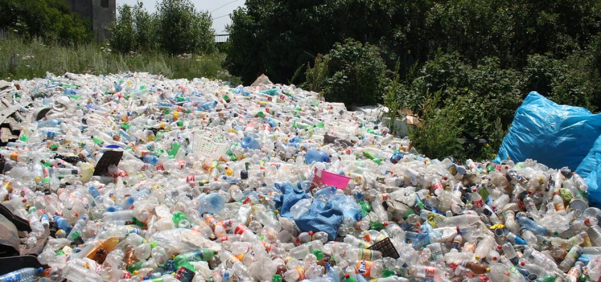 Plastic waste could soon be causing ‘irreversible damage’ to the environment