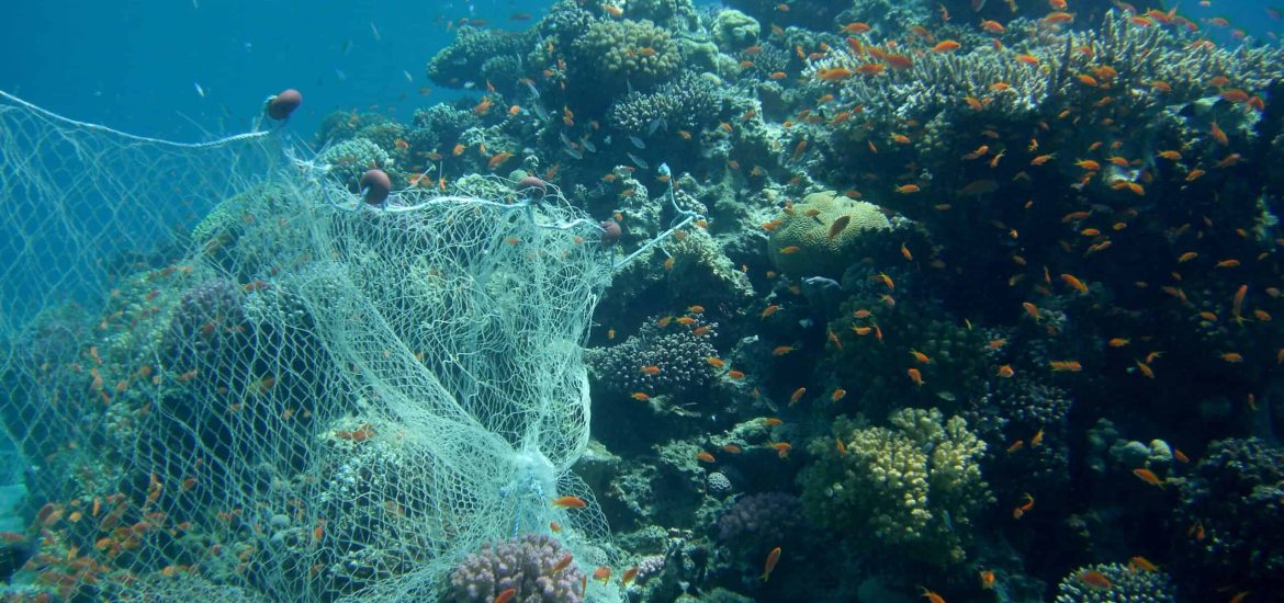Discarded fishing nets are a menace to corals and marine life