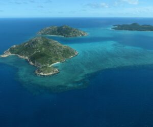 Almost 60 coral species at Australia’s Lizard Island are ‘missing’