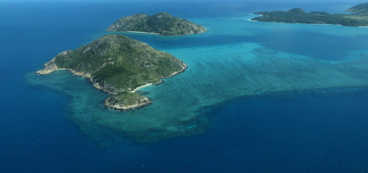 Almost 60 coral species at Australia’s Lizard Island are ‘missing’