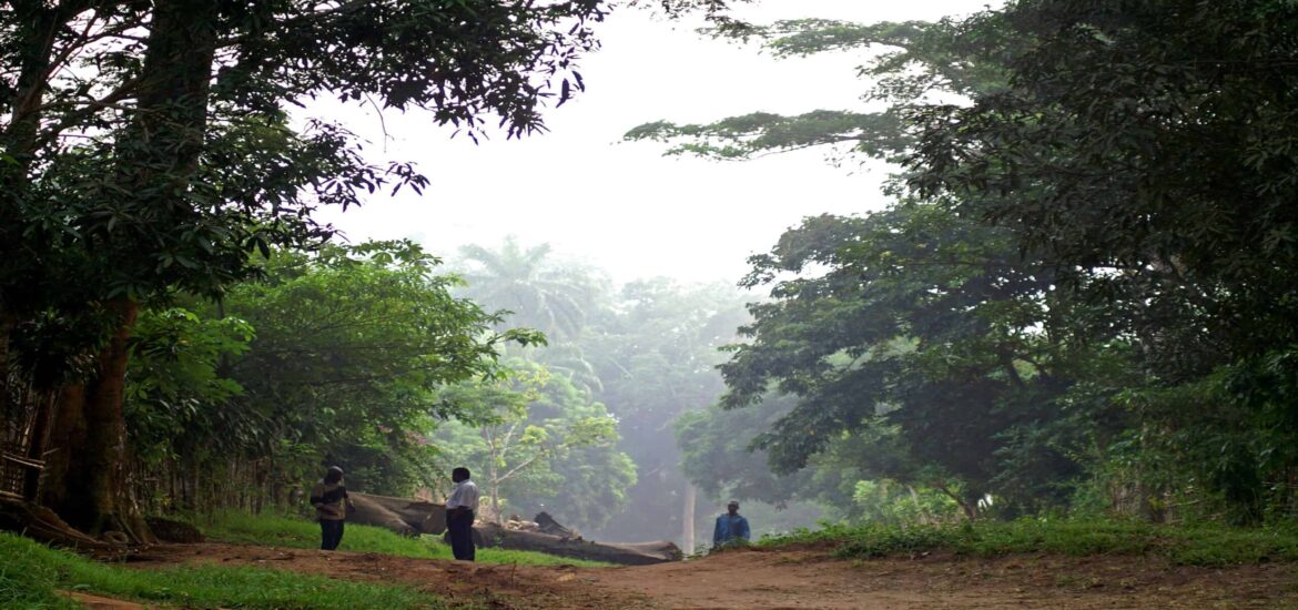 A new partnership on protecting rainforests in the DRC could prove pivotal
