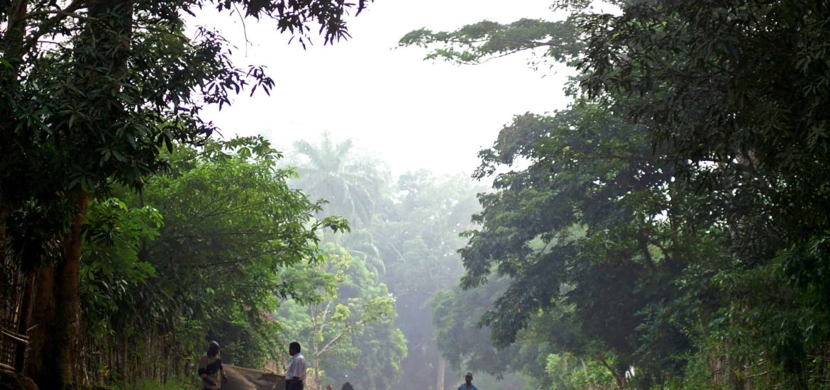 A new partnership on protecting rainforests in the DRC could prove pivotal