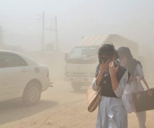 Air pollution can cause cardiac arrests and harm even unborn children