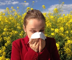 Pollen that causes allergies can also ‘worsen climate change’