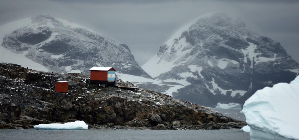 A tiny invading insect could wreak havoc in Antarctica