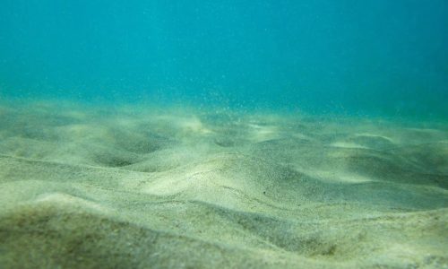 In just two decades the amount of microplastics has tripled on the seafloor
